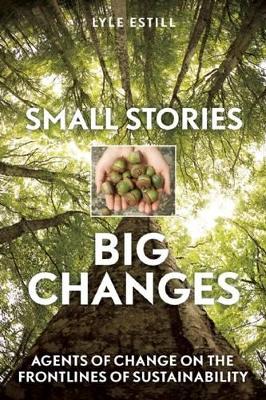 Small Stories, Big Changes book