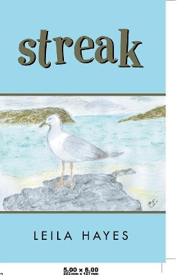 Streak book
