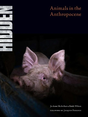 Hidden: Animals in the Anthropocene book