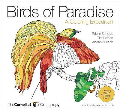 Birds of Paradise – A Coloring Expedition by Andrew Leach
