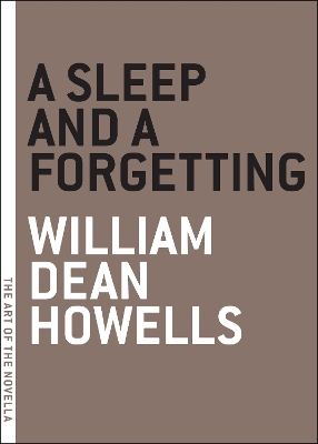 Sleep And A Forgetting book