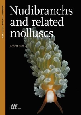 Nudibranchs and Related Molluscs book