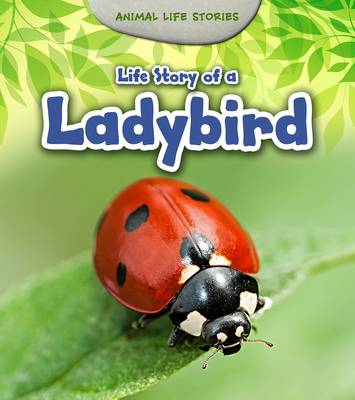 Life Story of a Ladybird by Charlotte Guillain