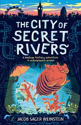 City of Secret Rivers book