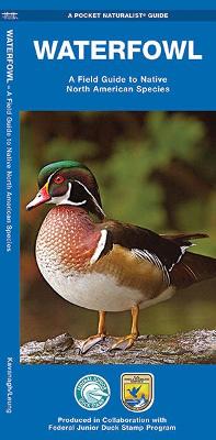 Waterfowl: A Field Guide to Native North American Species book