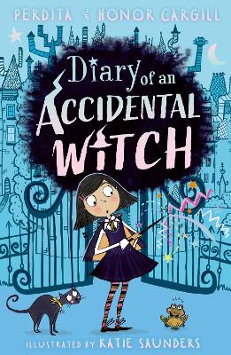 Diary of an Accidental Witch book