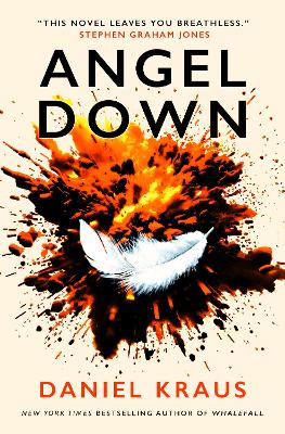 Angel Down book