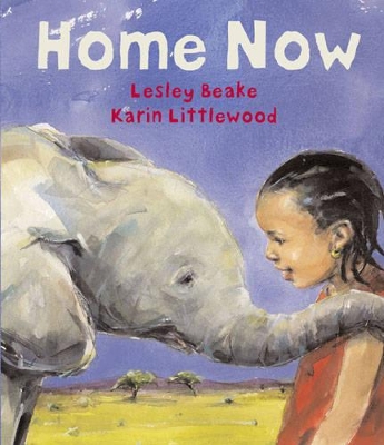 Home Now book