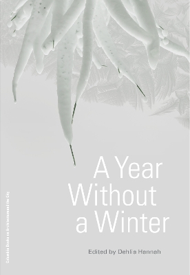 A Year Without a Winter book