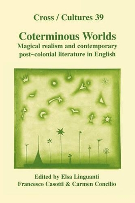 Coterminous Worlds by Elsa Linguanti