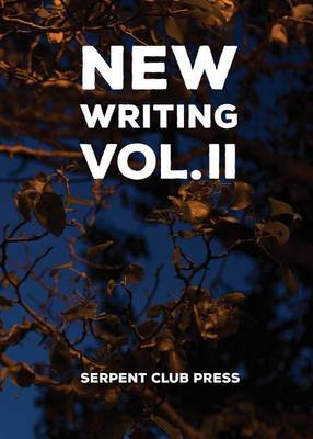 New Writing Volume 2 book