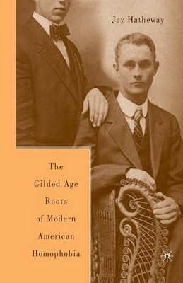 Gilded Age Construction of Modern American Homophobia book