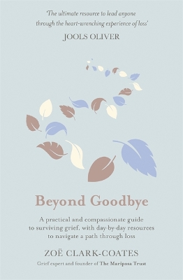Beyond Goodbye: A practical and compassionate guide to surviving grief, with day-by-day resources to navigate a path through loss book