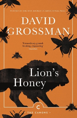 Lion's Honey: The Myth of Samson by David Grossman