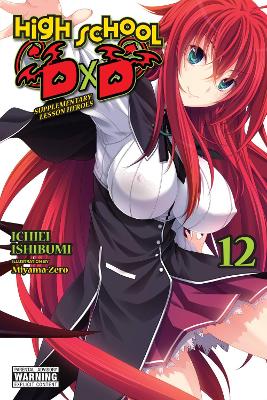 High School DxD, Vol. 12 (light novel) book