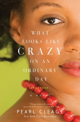What Looks Like Crazy on an Ordinary Day book