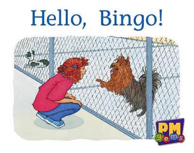 Hello, Bingo! book