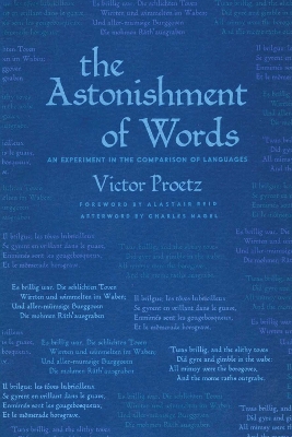 The Astonishment of Words by Victor Proetz