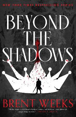 Beyond The Shadows: Book 3 of the Night Angel by Brent Weeks