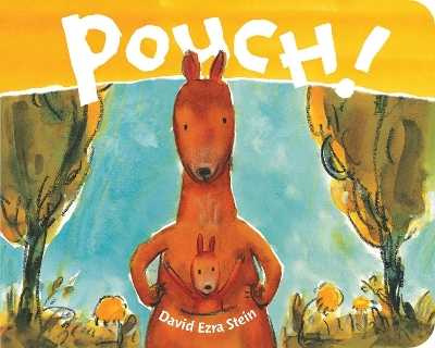 Pouch! book