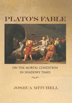 Plato's Fable book