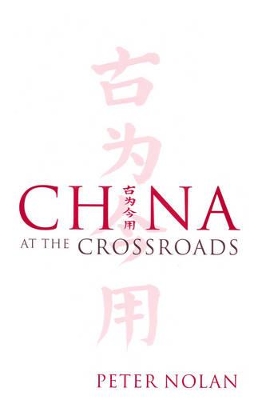 China at the Crossroads book