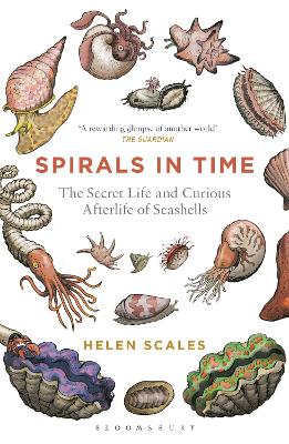 Spirals in Time book