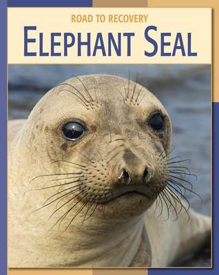 Elephant Seal book