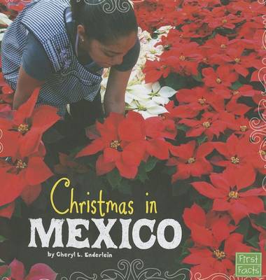 Christmas in Mexico book
