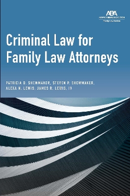 Criminal Law for Family Law Attorneys book