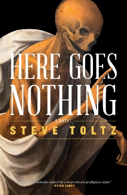 Here Goes Nothing book