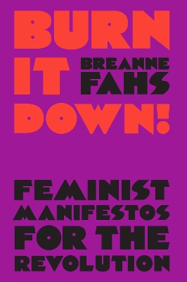 Burn It Down!: Feminist Manifestos for the Revolution book