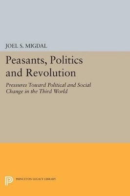 Peasants, Politics and Revolution by Joel S. Migdal