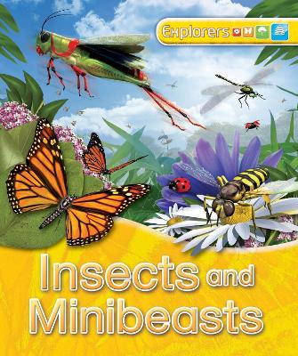 Explorers: Insects and Minibeasts book