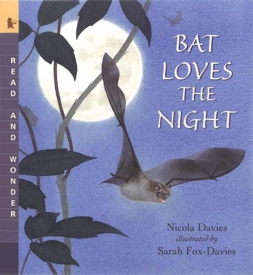 Bat Loves the Night book