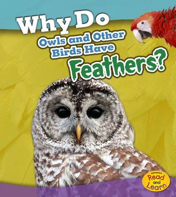 Why Do Owls and Other Birds Have Feathers? by Holly Beaumont