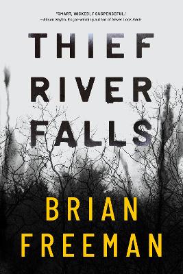 Thief River Falls book