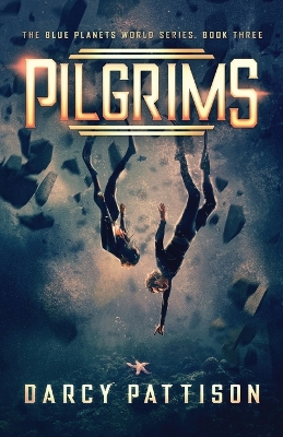 Pilgrims book