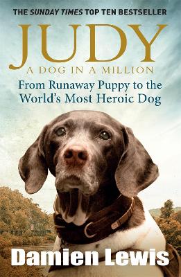 Judy: A Dog in a Million book