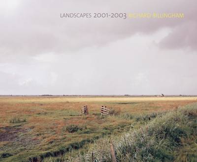 Richard Billingham: Landscapes: 2001-2003 book