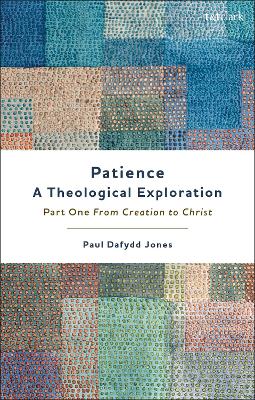 Patience—A Theological Exploration: Part One, from Creation to Christ book