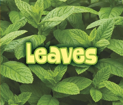 All About Leaves book