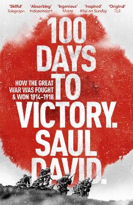 100 Days to Victory: How the Great War Was Fought and Won 1914-1918 book