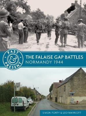 Falaise Gap Battles book