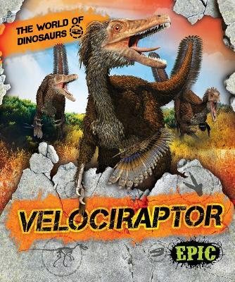 Velociraptor by Rebecca Sabelko
