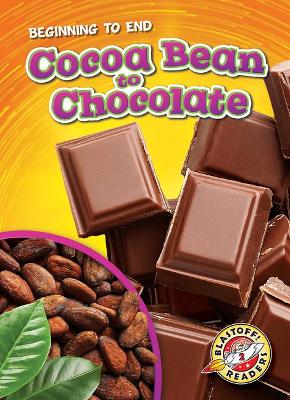 Cocoa Bean To Chocolate book