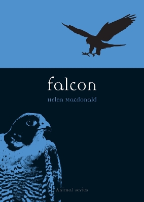 Falcon book