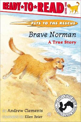 Brave Norman: A True Story book