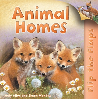 Flip the Flaps: Animal Homes book