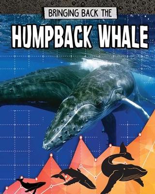 Humpback Whale: Bringing Back The book